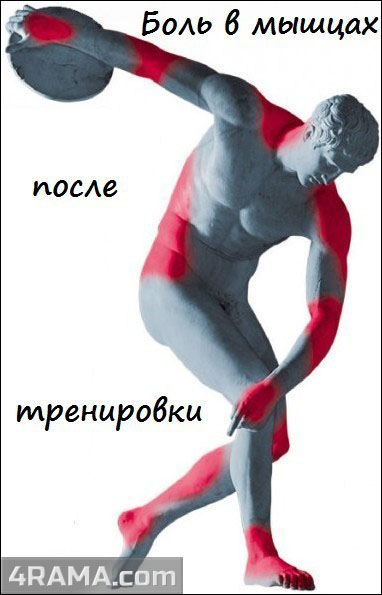 Крепатура мышц - Бодибилдинг форум AnabolicShops