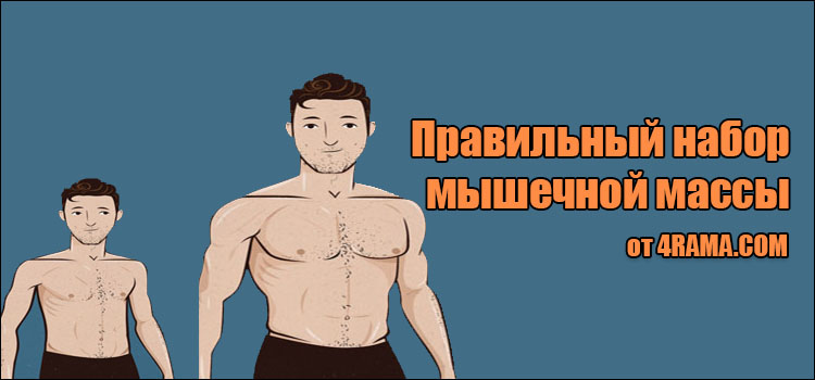 Правильный набор мышечной массы - Бодибилдинг форум AnabolicShops