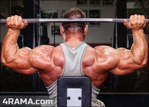 Опасные упражнения в бодибилдинге - Бодибилдинг форум AnabolicShops