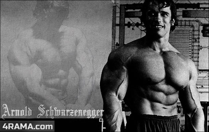 Классический бодибилдинг - Бодибилдинг форум AnabolicShops