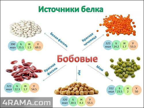 Вегетарианство и бодибилдинг - Бодибилдинг форум AnabolicShops