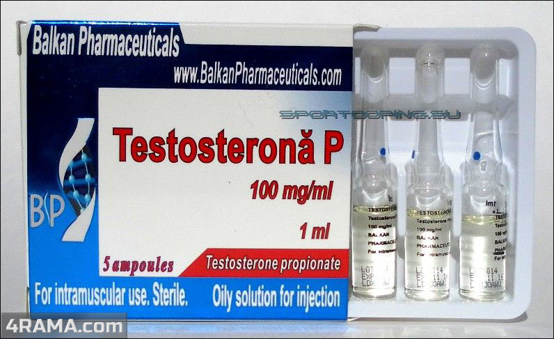 Testosterona P - Бодибилдинг форум AnabolicShops