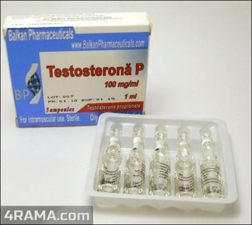 Testosterona P - Бодибилдинг форум AnabolicShops