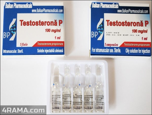 Testosterona P - Бодибилдинг форум AnabolicShops