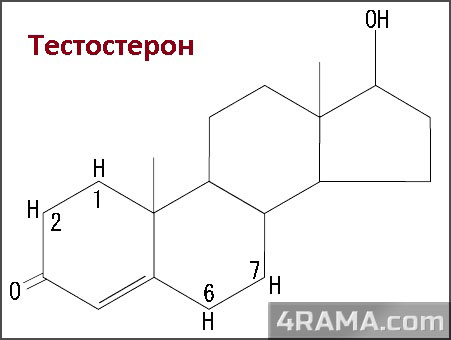 Aquatest - Бодибилдинг форум AnabolicShops