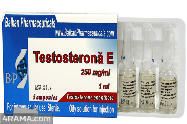 Testosterona E - Бодибилдинг форум AnabolicShops