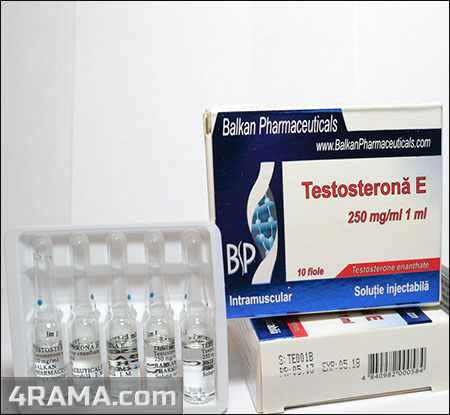 Testosterona E - Бодибилдинг форум AnabolicShops