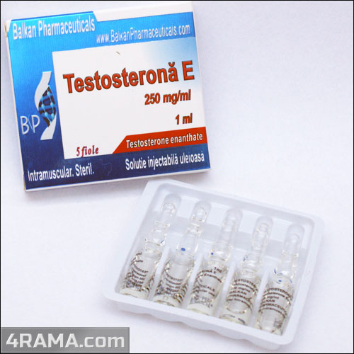 Testosterona E - Бодибилдинг форум AnabolicShops