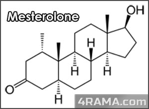 Provimed - Бодибилдинг форум AnabolicShops