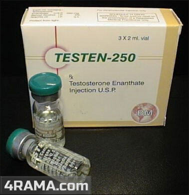 Testen - Бодибилдинг форум AnabolicShops