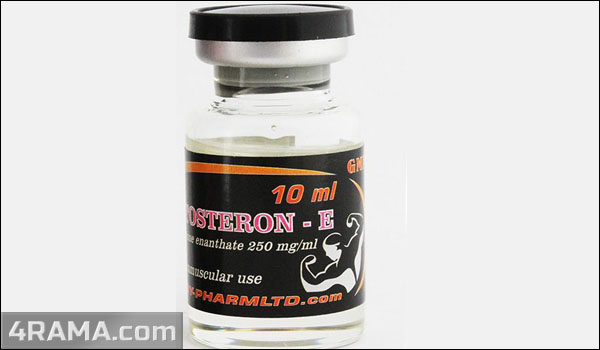 Testosteron-E - Бодибилдинг форум AnabolicShops