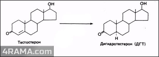 Stanodrol - Бодибилдинг форум AnabolicShops