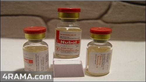 Nubol - Бодибилдинг форум AnabolicShops