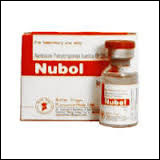 Nubol - Бодибилдинг форум AnabolicShops