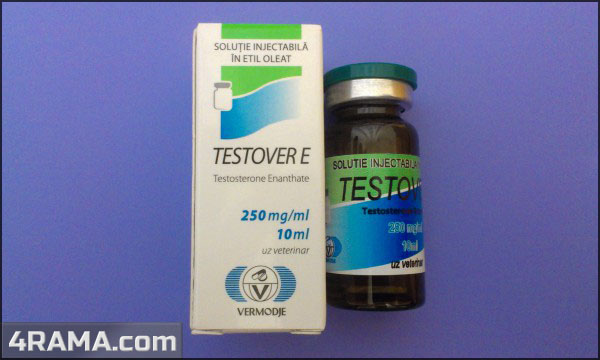 Testover E - Бодибилдинг форум AnabolicShops