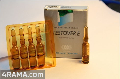 Testover E - Бодибилдинг форум AnabolicShops