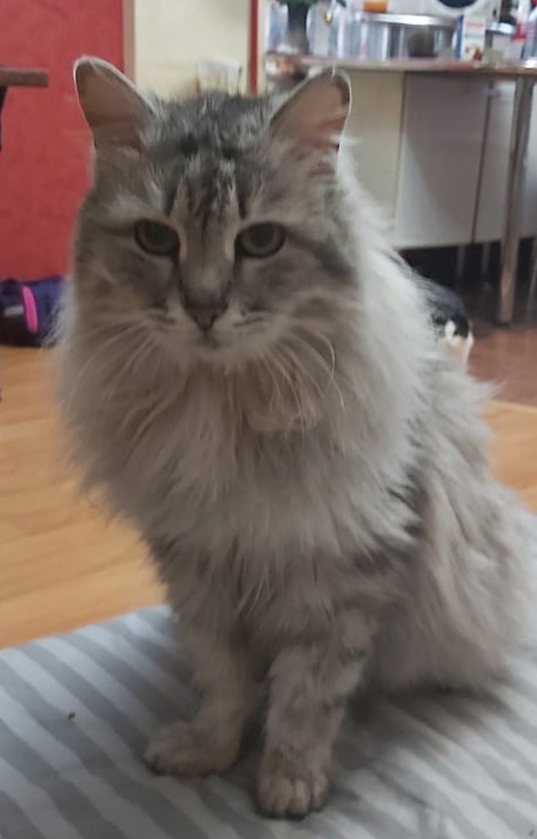 Мои домашние питомцы - Бодибилдинг форум AnabolicShops