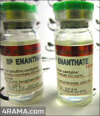SP Enanthate - Бодибилдинг форум AnabolicShops