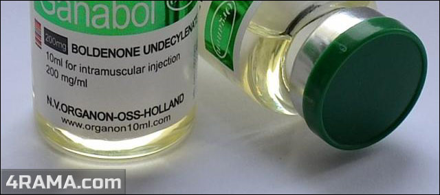 Ganabol - Бодибилдинг форум AnabolicShops