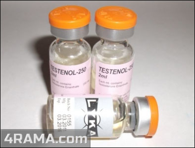 Testenol - Бодибилдинг форум AnabolicShops