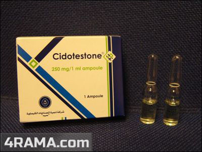 Cidotestone - Бодибилдинг форум AnabolicShops