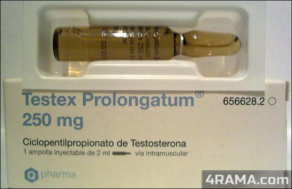 Testex Prolongatum - Бодибилдинг форум AnabolicShops