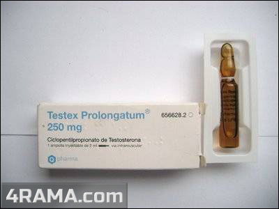Testex Prolongatum - Бодибилдинг форум AnabolicShops