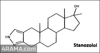 Stanozolol - Бодибилдинг форум AnabolicShops