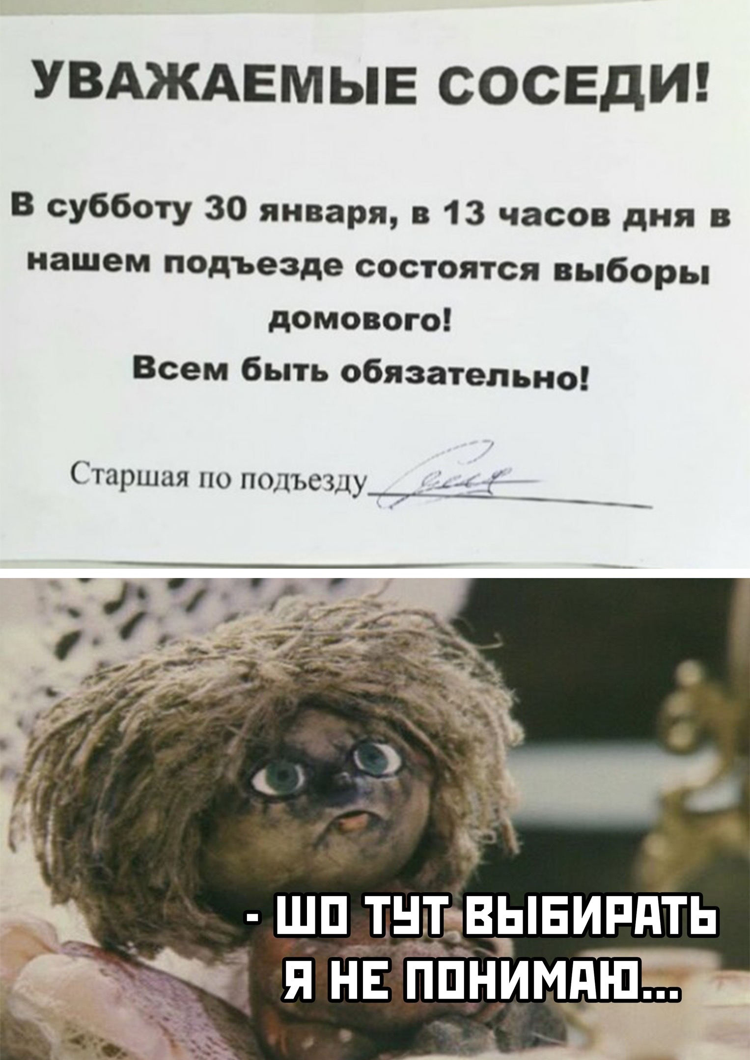 Мандариновое безумие - Бодибилдинг форум AnabolicShops