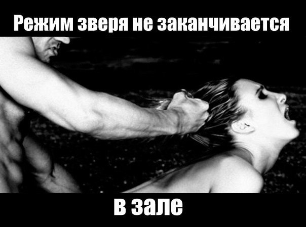 Thomas&Co - Медицинское качество. - Бодибилдинг форум AnabolicShops