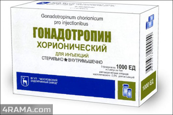 Хорионический гонадотропин (HCG) - Бодибилдинг форум AnabolicShops