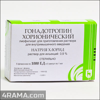 Хорионический гонадотропин (HCG) - Бодибилдинг форум AnabolicShops