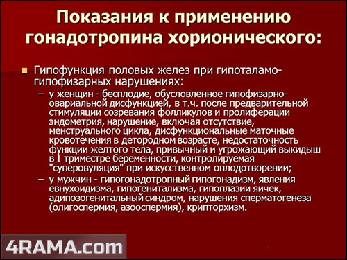 Хорионический гонадотропин (HCG) - Бодибилдинг форум AnabolicShops