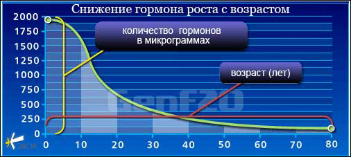 Гормон роста - Бодибилдинг форум AnabolicShops
