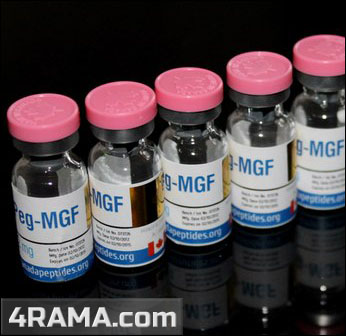 MGF (механический фактор роста) - Бодибилдинг форум AnabolicShops