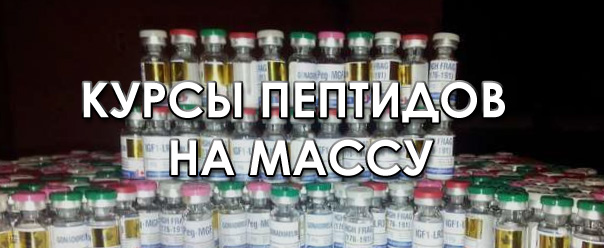 Курсы пептидов на массу - Бодибилдинг форум AnabolicShops