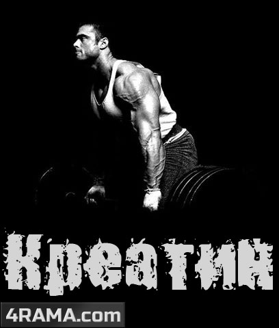 Креатин на курсе стероидов - Бодибилдинг форум AnabolicShops