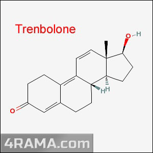 Тренболон - Бодибилдинг форум AnabolicShops