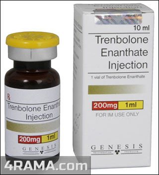 Тренболон - Бодибилдинг форум AnabolicShops