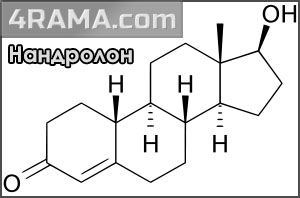 Нандролон деканоат - Бодибилдинг форум AnabolicShops