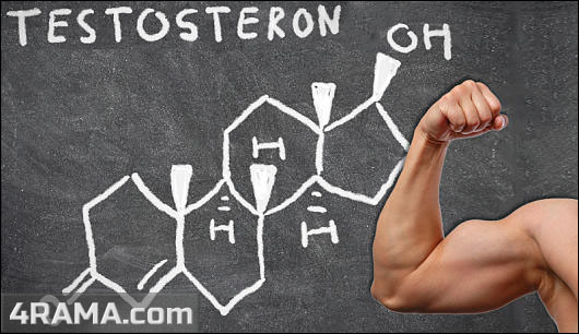 Тестостерон - Бодибилдинг форум AnabolicShops