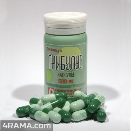 Послекурсовая терапия (ПКТ) - Бодибилдинг форум AnabolicShops