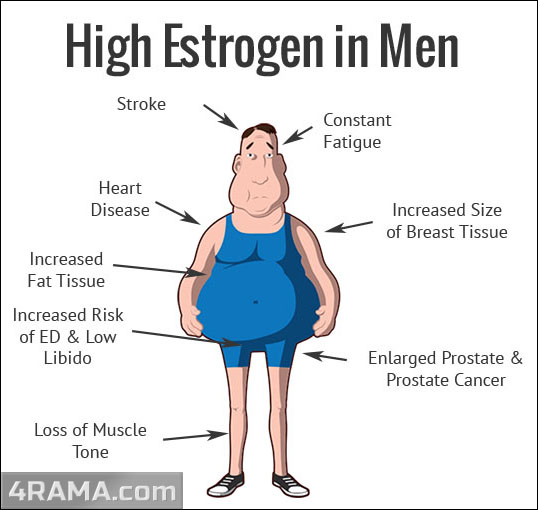 Эстрогены (эстрадиол) - Бодибилдинг форум AnabolicShops