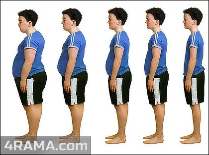 Эстрогены (эстрадиол) - Бодибилдинг форум AnabolicShops