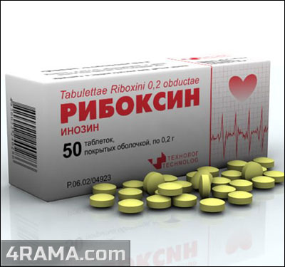 Аспаркам и рибоксин - Бодибилдинг форум AnabolicShops