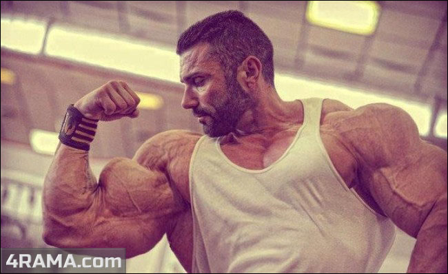 Курс инсулина - Бодибилдинг форум AnabolicShops