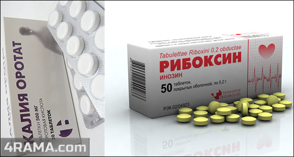 Калия оротат и рибоксин - Бодибилдинг форум AnabolicShops