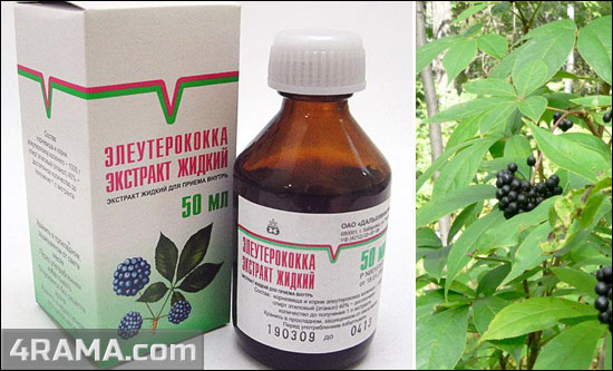 Элеутерококк - Бодибилдинг форум AnabolicShops