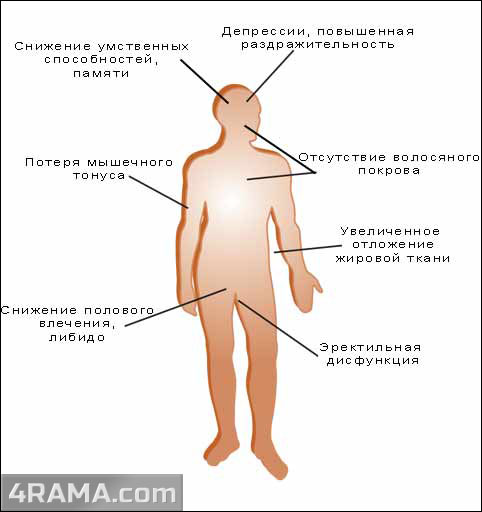 Ароматизация тестостерона - Бодибилдинг форум AnabolicShops