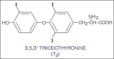 Трийодтиронин (Т3) - Бодибилдинг форум AnabolicShops